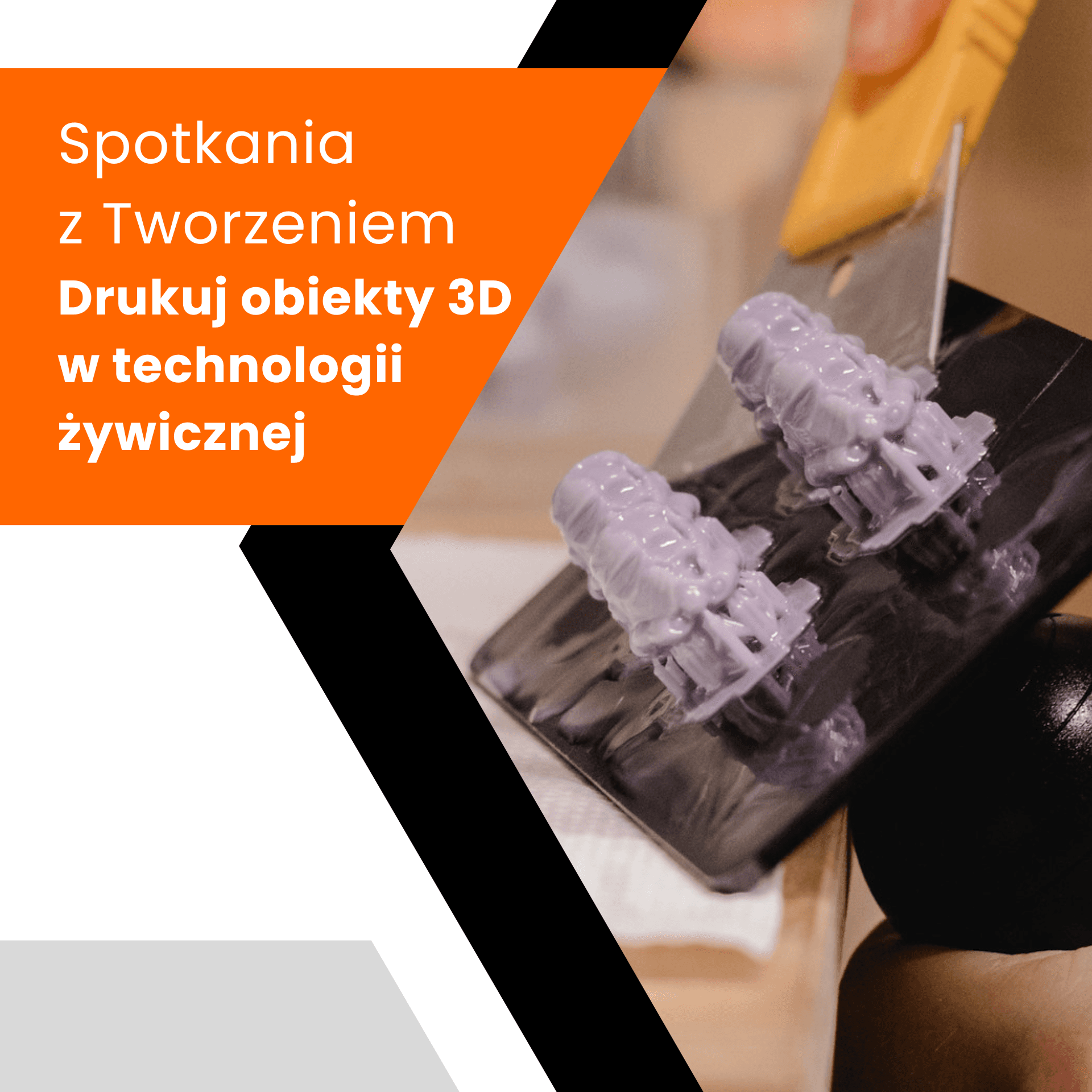 Spotkania z tworzeniem - Drukuj obiekty 3D w technologii żywicznej